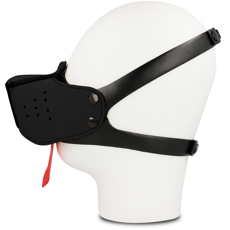 Musta koiran kuonokoppa